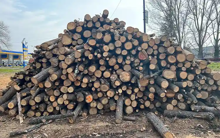 дърва на метър в Пазарджик